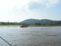 Tn PPTC 262